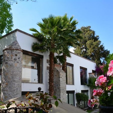 Hotel & Spa Dona Urraca San Miguel De Allende Eksteriør billede