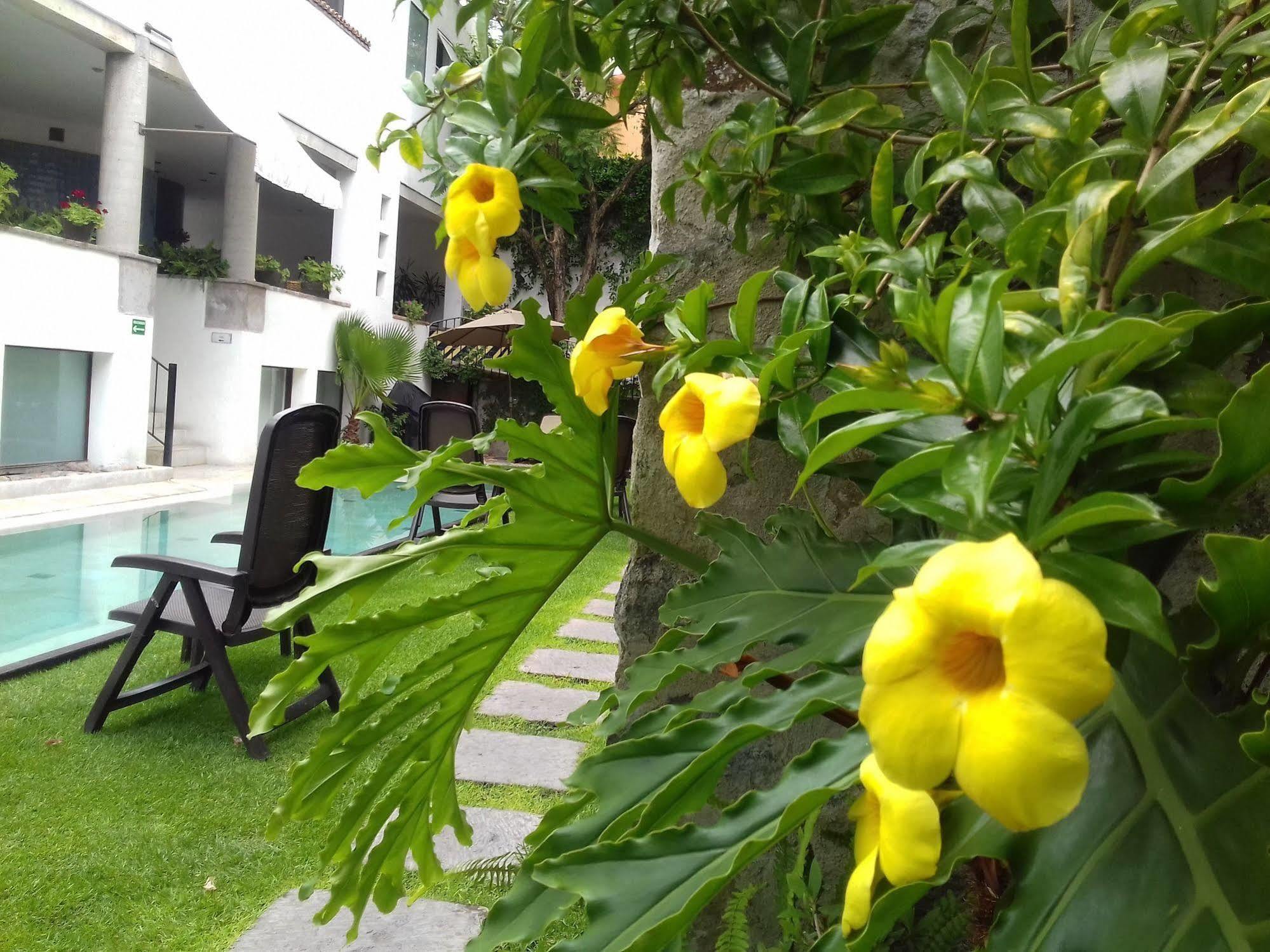 Hotel & Spa Dona Urraca San Miguel De Allende Eksteriør billede