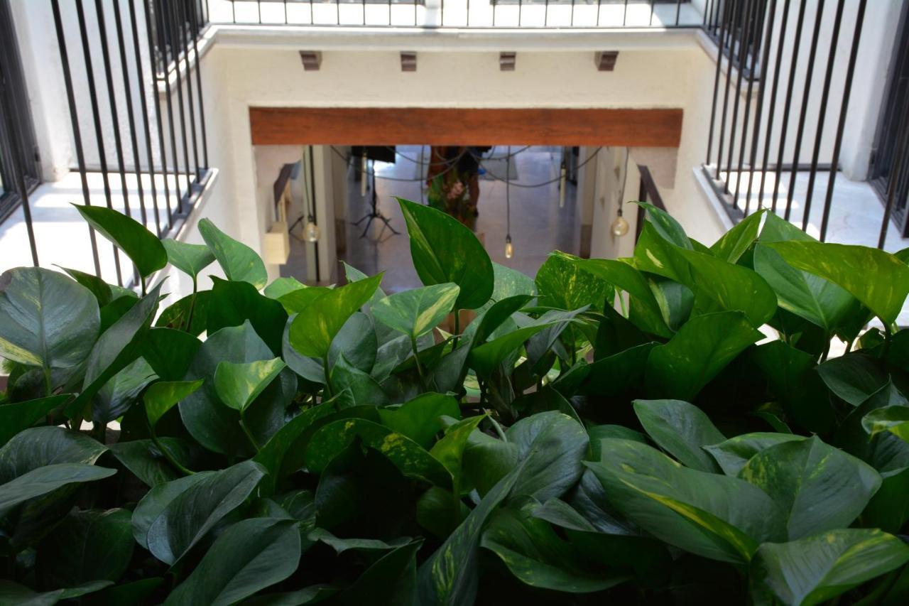 Hotel & Spa Dona Urraca San Miguel De Allende Eksteriør billede
